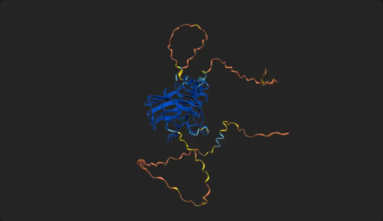 Animation: the p53 model rotating while the confidence cut-off steps from every residue, to pLDDT 50, to pLDDT 70, leaving the DNA-binding domain.
