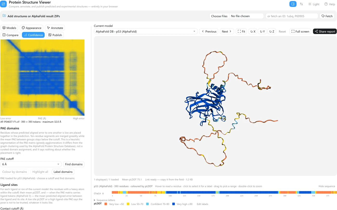 AlphaFold model of human p53 coloured by pLDDT — a blue, confident DNA-binding core with orange, low-confidence tails — beside its predicted aligned error heatmap.